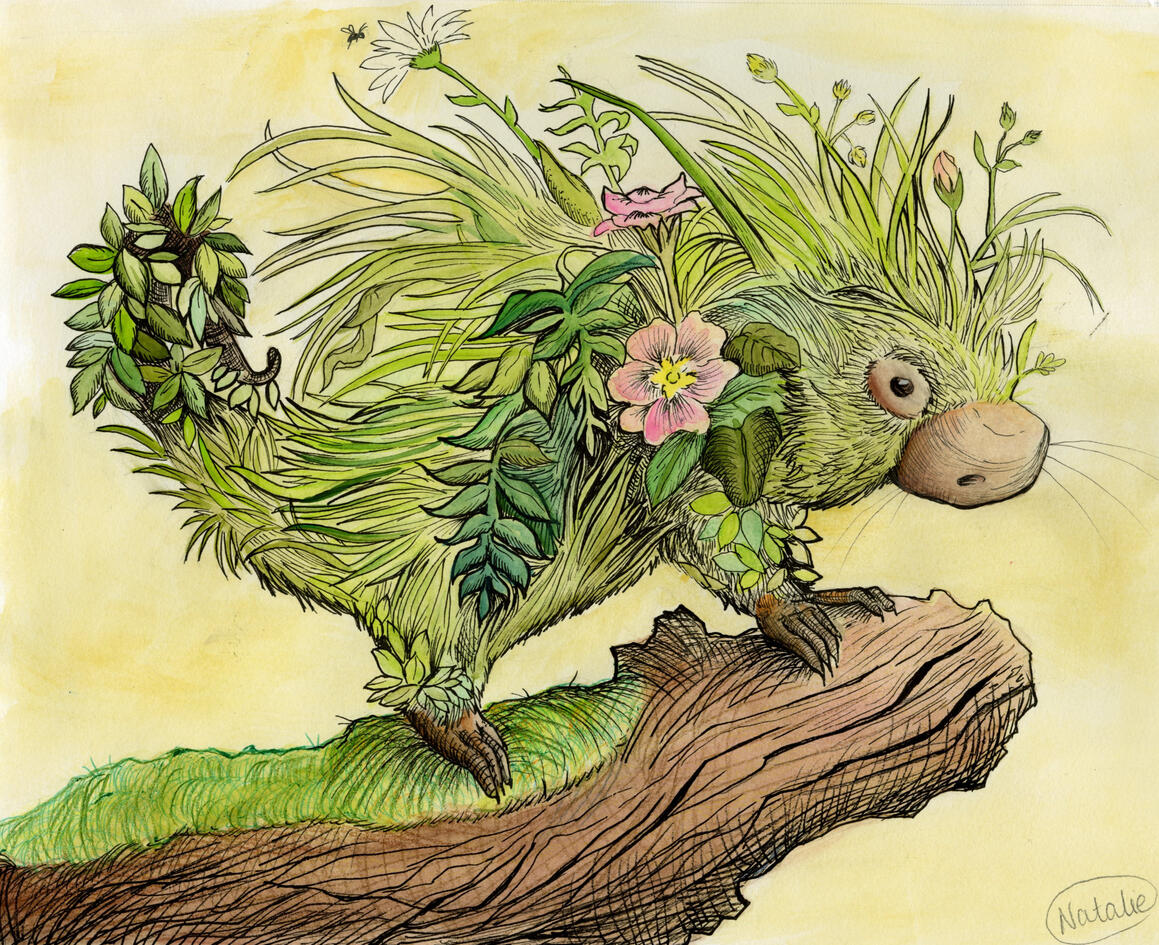 Flora and Fauna